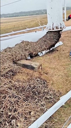 Challenges in Wind Turbine Foundation Cleaning: Root and Weed Removal Diary!