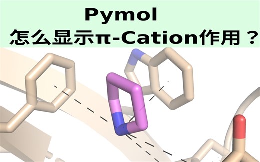 Pymol--用pseudoatom展示pi-cation相互作用