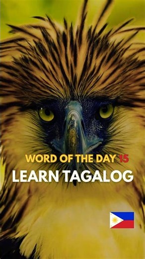 TAGALOG WORD OF THE DAY🤔💭DISCOVER THE BEAUTY OF THE FILIPINO LANGUAGE VIDEO 15
