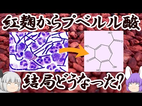 プベルル酸、結局いまはどこまで分かっている？（余談だらけのゆっくり化学解説159）
