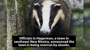 15K views · 43 reactions | Well this just stinks....