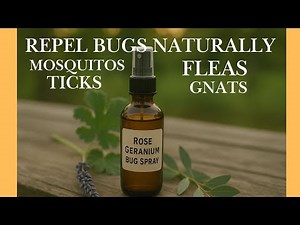 How I Made Bug Spray That’s Safe for Nature and Me!