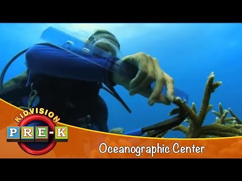 Oceanographic Center | Virtual Field Trip | KidVision Pre-K