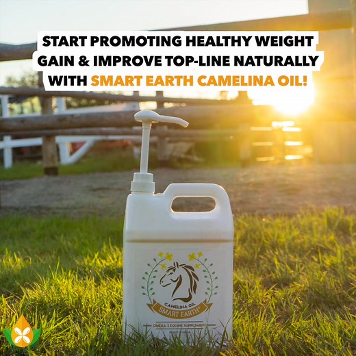 "I wanted to quickly share how your product camelia oil has not only...