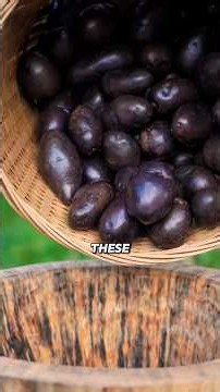 How Ancient China Turned Black Potatoes Into White Noodles 😳
