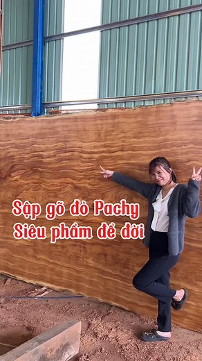 197 reactions · 38 comments | Chiếu gõ đỏ pachy cực vip #reels #xh #gonguyenkhoi #banghenguyenkhoi #chieunguanguyenkhoi #sapphannguyenkhoi #gokhung #hagonguyenkhoi #nothatgo #godep #sieupham #noithatcaocap | Gỗ Tây Nguyên | Facebook