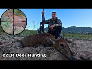 Deer Hunting with a 223! (Heart Shot!)