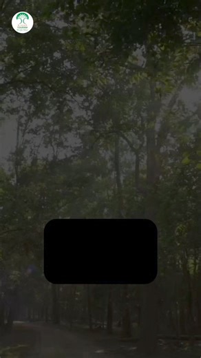 12K views · 397 reactions | Explore the Valmiki Tiger Reserve in West...