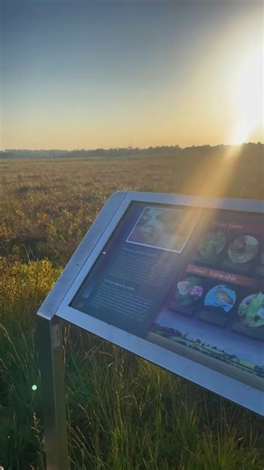 1.2K views · 21 reactions | Clara Bog is the finest remaining example of a raised bog in Ireland today! A haven for wildlife makes it a much-loved destination for families. The 1km looped boardwalk takes you right across the bog - a lovely walk to take in the nature of #Offaly! #VisitOffaly #KeepDiscovering #IrelandsHiddenHeartlands #Clara Clara Bog Nature Reserve and Visitor Centre Ireland's Hidden Heartlands Discover Ireland Tourism Ireland | Visit Offaly | Facebook