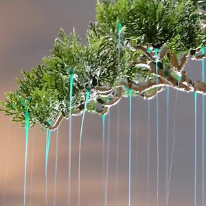 265K views · 2.5K reactions | Come creare un paesaggio fiabesco in miniatura con le tue mani  | 5 Minuti Creativi | Facebook