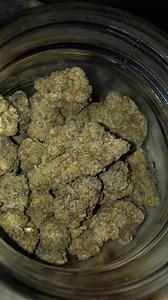Gorilla Cake | Marijuana Strain Reviews