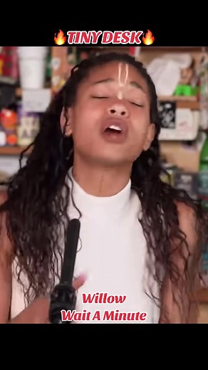 Tiny Desk NPR Performances That Sound Flawless