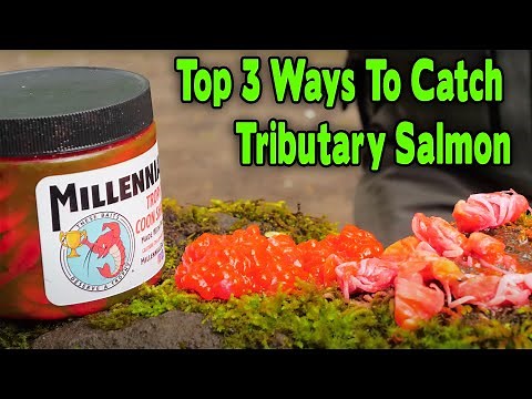 BEST 3 Tactics For Catching SALMON In Smaller Creeks & RIVERS. (Tributary Salmon Fishing HOW TO)