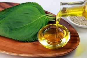 オメガ3系脂肪酸が多い食品は？ 効果・効能 [食と健康] All About