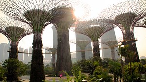 Habitats for humanity: Why our cities need to be ecosystems, too