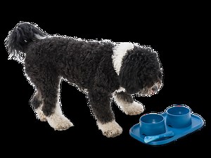 Drifty Dog Toy | Floating Bone Dog Toy