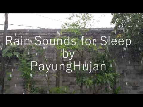 Rain Sounds for Sleep 🌧️ | Relaxing Rain Ambience for Deep Sleep & Study (No Thunder)
