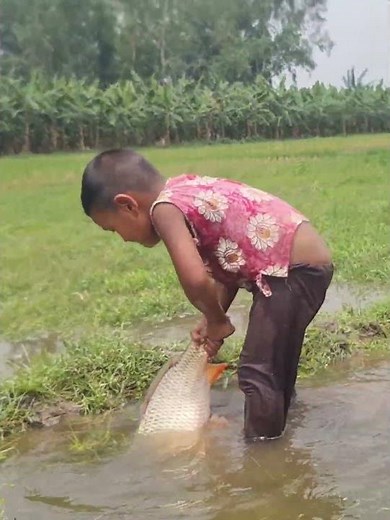 Amazing Boy Catching Fish By Hand