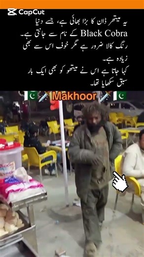 “Meet the Real Boss 🔥 Black Cobra Revealed 🐍 #GangStory #BlackCobra #Viral”