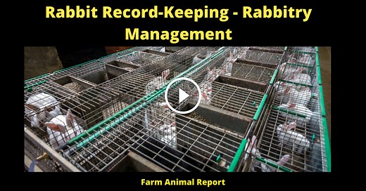 Rabbitry Management-Record Keeping