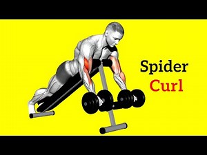 How to Do Spider Curls To Build Bigger Biceps