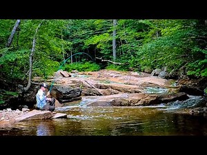 Epic quest for native New Hampshire brook trout - small stream tenkara fishing, Aug '24 (4K)