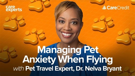 Pet Travel Anxiety Starts Weeks Before the Airport | Nelva Bryant DVM, MPH posted on the topic | LinkedIn