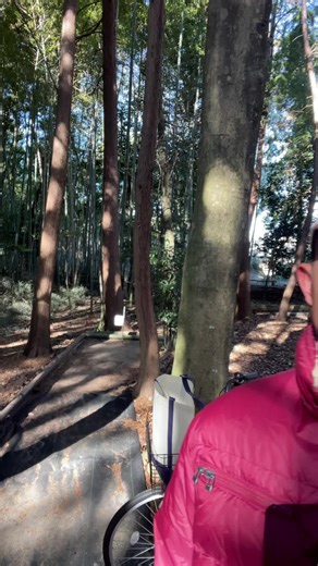 Môi Nè: Khám Phá Nét Đẹp Nhật Bản