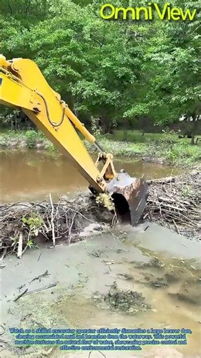 Excavator Dismantles Beaver Dam and Clears Waterway Debris #worker #process #excavator
