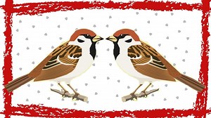 5 Minutes Chipping Sparrow Call Chipping Sparrow Song Chipping Sparrow Sounds