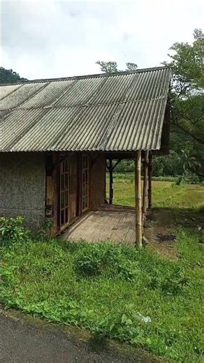 Tanah sawah luas 3000 MTR ss.AJB.harga 500 juta nego wa 085716702172.lok.cigudeg