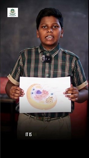 About Cell | Cell Structure and Functions Explained | Plant Cell vs Animal Cel