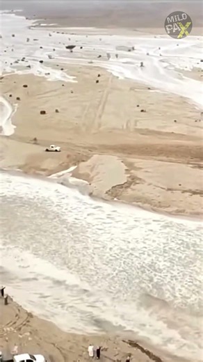 How Did This Toyota Hilux Survive a Flash Flood? 🌊😱