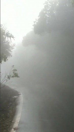 Driving, Windy Rain - Foggy Road - Relax Sleep sounds