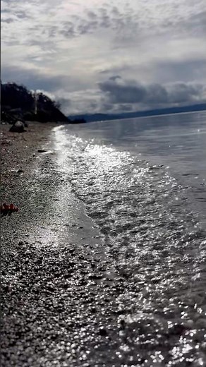 The shores of North America’s oldest lake…… clear Lake California.