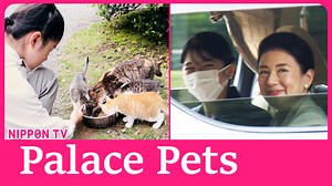 22K views · 772 reactions | The Emperor, Empress, and daughter Princess Aiko attend the “Living with Animals Forum 2024” in private outing. Originally on air on June 21, 2024. Please subscribe to our YouTube channel: https://www.youtube.com/c/NipponTVNews24Japan | Nippon TV News24 Japan | Facebook
