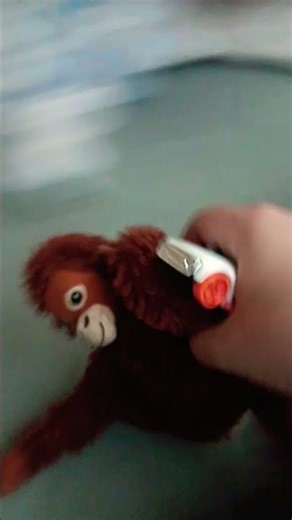 monke watch