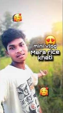 mera rice kheti