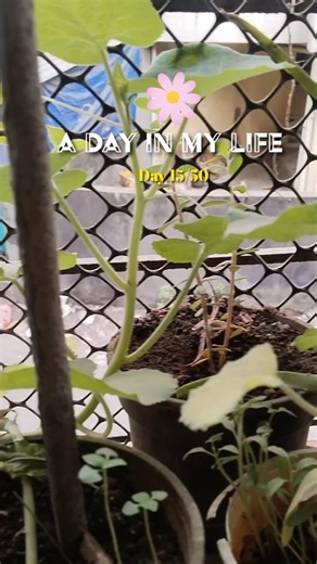 15 days of fixing my life | day 15 ✨ #selfimprovement #study #dayinmylife