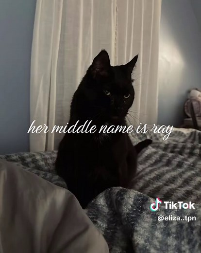 Understanding Ray from The Promised Neverland Anime