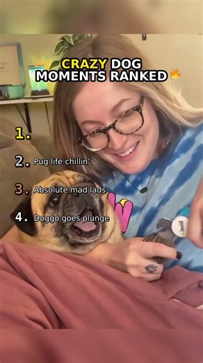 CRAZY DOG MOMENTS RANKED 🔥