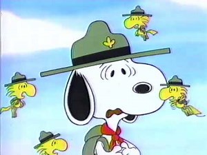 Met Life Insurance (1986) Television Commercial - Peanuts