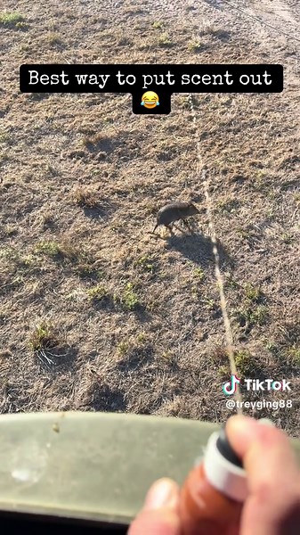 Best Techniques for Using Scent in Hunting