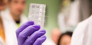 Organs-on-chips: Tiny technology helping bring safe new drugs to patients faster