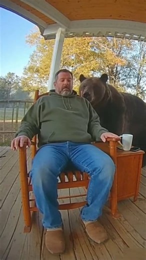 Man Nearly Falls Asleep... Until a Bear Shows Up! 🐻😱 #BearEncounter #DoorbellCamera #CaughtOnCam #WildlifeMoments #FunnyScare #CCTVFootage #RealReaction #AnimalEncounter #ViralShorts #BearSurprise #RealisticFootage #HorrorComedy | CamLaughs