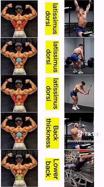 5 best back workouts Exercises 🔥 #foryou #foryoupage #fyp #back #backworkout #backworkouts #backexercises #workout #fitness #bodyfitness #gymlover #homeworkout #bodyfitnessbeast @bodyfitnessbeast0