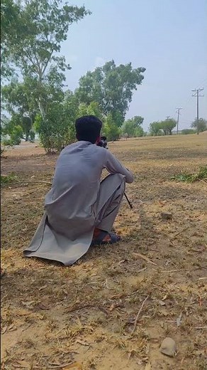Wide Open Field Target Lock & Scope View 🎯 #Airgun #Shorts