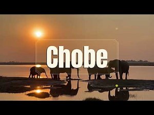 Botswana Safari | Elephant Pools Lodge Moremi & Thebe River Safaris Chobe | Sunway Safaris