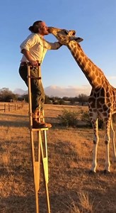 Man on Stilts Kisses Giraffe! Watch this heartwarming moment as a man on stilts shares a kiss with a giraffe. #fblifestyle #AI Generated using Kling AI . . . (For entertainment purposes only. Consult professionals if guidance on activities is presented. No brand affiliation is implied if any are shown. If inspired by true events, creative adaptations may be included. Content may include public footage.) | Fabiosa Digest