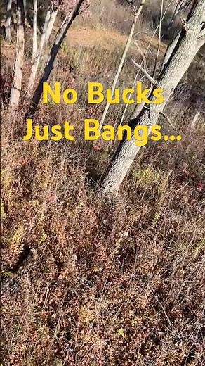 Bow Hunting Fail: Apparently there's a gun range near by... 😒 #huntingfails #deerhunting #fml